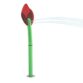 Poppy Bud