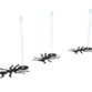 Ants 3