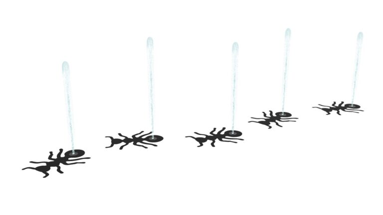 Ants 5