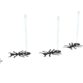 Ants 5
