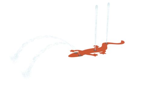 Gecko