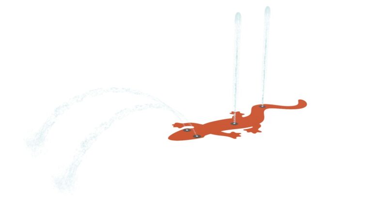 Gecko