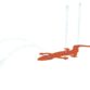 Gecko