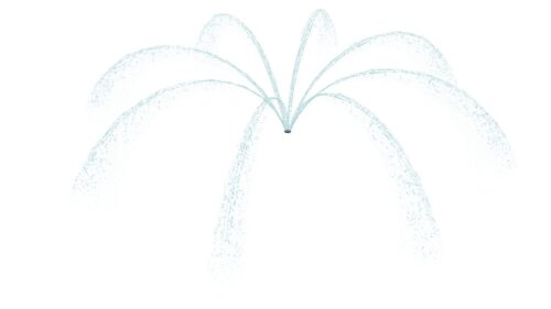 Charlotte’s Web