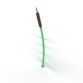 Cat Tail