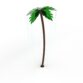Poly Palm 5