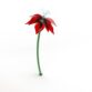 Trilly Lily Windy