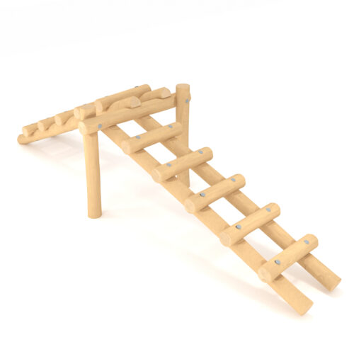 Robinia tasapainorata