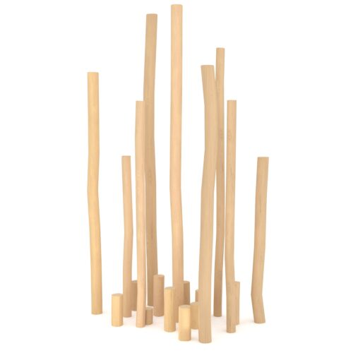 Robinia tasapainometsä