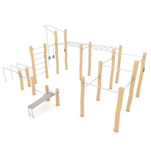 Robinia street workout